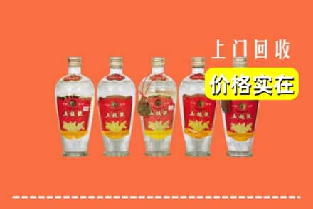 诚信求购:蚌埠高价回收老五粮液